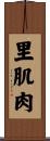 里肌肉 Scroll