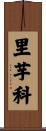 里芋科 Scroll
