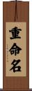 重命名 Scroll