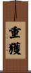 重獲 Scroll