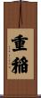 重稲 Scroll