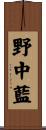 野中藍 Scroll
