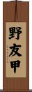 野友甲 Scroll