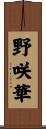 野咲華 Scroll