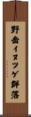 野岳イヌツゲ群落 Scroll