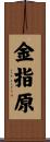 金指原 Scroll
