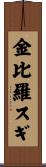 金比羅スギ Scroll