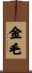 金毛 Scroll