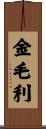金毛利 Scroll