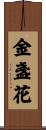 金盞花 Scroll