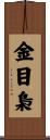 金目梟 Scroll