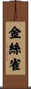 金絲雀 Scroll