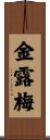 金露梅 Scroll