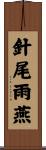 針尾雨燕 Scroll