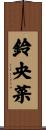 鈴央菜 Scroll