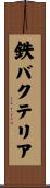 鉄バクテリア Scroll