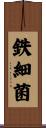 鉄細菌 Scroll