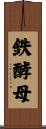 鉄酵母 Scroll