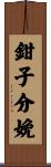 鉗子分娩 Scroll