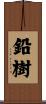 鉛樹 Scroll