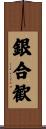 銀合歓 Scroll