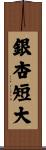 銀杏短大 Scroll