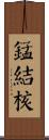 錳結核 Scroll