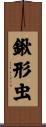 鍬形虫 Scroll