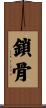鎖骨 Scroll