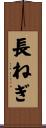 長ねぎ Scroll
