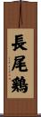 長尾鶏 Scroll