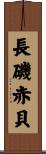 長磯赤貝 Scroll