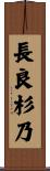 長良杉乃 Scroll