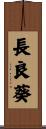 長良葵 Scroll