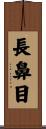 長鼻目 Scroll