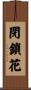 閉鎖花 Scroll
