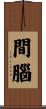 間腦 Scroll