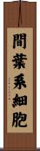 間葉系細胞 Scroll