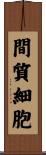 間質細胞 Scroll