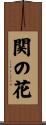 関の花 Scroll