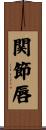 関節唇 Scroll