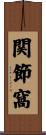 関節窩 Scroll