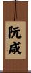 阮咸 Scroll