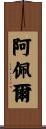 Appel Scroll