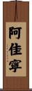 阿佳寧 Scroll