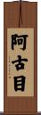 阿古目 Scroll