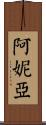 Anya Scroll
