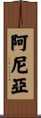 Aniah Scroll