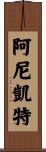 Aniket Scroll
