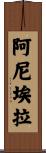 Aniela Scroll